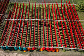Dhaka, Bangladesch - 18. Mai 2021: Luftaufnahme von Arbeitern, die bunte T-Shirt-Stoffe zum Trocknen aufhängen, in Narayanganj, Dhaka, Bangladesch