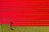 Aerial view of two people working in a field stretching red cloth in Narsingdi,Dhaka,Bangladesh
