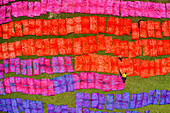 Aerial view of two woman working placing colourful towels in a field near Araihazar,Dhaka district,Bangladesh