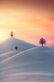 Luftaufnahme von schneebedeckten Hügeln mit ruhigen Bäumen bei Sonnenuntergang, Neuheim, Schweiz