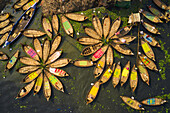 Aerial view of Hundreds of wooden boats fan out around their moorings in patterns which resemble flower in Buriganga river,Dhaka,Bangladesh