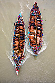 Narayanganj,Bangladesh - 19 July 2021: Aerial view of cattle squeezed on a boat crossing the river in Narayanganj,Bangladesh