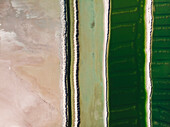 Aerial view of a salt mine with different hues of green,Western Australia. Top down perspective