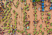 Aerial view of a few people working at Kansas mango Bazar,the largest mango market in the world,Shibganj province,Bangladesh