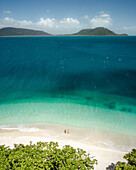 Aerial view of Nudey Beach with beautiful coastline and sandy shore,Fitzroy Island,Queensland,Australia