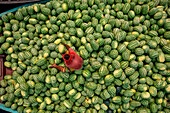 Aerial view of people among the watermelons at work on the Buriganga River,Dhaka Kotwali Thana,Dhaka,Bangladesh