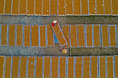 Aerial view of two people working in a farm with round incense,preparing the incense on similar trays,Hung Yen,Vietnam