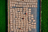 Aerial view of Women at work on the preparation of natural fabric,Barga,Rajshahi,Bangladesh