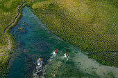 Blick auf drei Kinder, die in einer Lagune in der Nähe von Manikganj, Bangladesch, im Wasser spielen