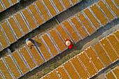 Aerial view of two people working in a farm with round incense,preparing the incense on similar trays,Hung Yen,Vietnam
