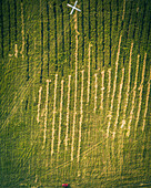 Aerial view of green fields during hot air balloons competitions,when the measuring team is waiting for the first balloons to approach the target,Ryazan,Russia
