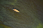 Aerial view of a fisherman wearing a traditional hat and sailing the Bengali river near Ullahpara town,Rajshahi,Bangladesh