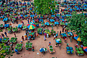 Rajshahi,Bangladesh - 01 September 2022: Aerial view of a fruit market,Kansat,Chapai Nowabganj,Rajshahi,Bangladesh