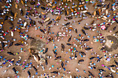 Aerial view of people feeding animals at Goru Hate,a cattle selling point in Sherpur,Rajshahi province,Bangladesh