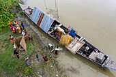 Sariakandi,Bangladesh - 06 July 2020: Aerial view of people loading cattle on a long fishing boat along Brahmaputra river,Rajshahi state,Bangladesh