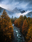 Luftaufnahme einer wunderschönen Herbstlandschaft mit üppigen Wäldern, majestätischen Bergen und einem sich windenden Fluss, Val S-Charl, Schweiz