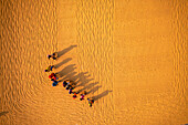 Aerial view of farmers working in a field drying rice on a rice field in Dhamrai,Dhaka,Bangladesh