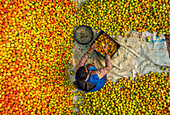Dhaka,Bangladesh - 27 February 2023: Aerial view of people trading with fruits and vegetables on boats along the river in Dhaka,Bangladesh