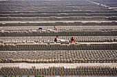 Dhamrai,Bangladesh - 26 March 2019: Aerial view of a few people working in a brick factory,Dhaka province,Bangladesh