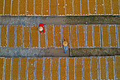Aerial view of two people working in a farm with round incense,preparing the incense on similar trays,Hung Yen,Vietnam