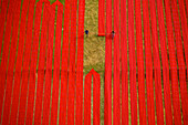 Aerial view of two people working in a field stretching red cotton fabric rolls in Narsingdi,Dhaka,Bangladesh