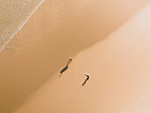 Aerial view of a two surfers and their shadows on a golden beach in Peniche,Portugal