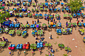 Shibganj,Bangladesh - 14 June 2019: Aerial view of a few people working at Kansat mango Bazar,the largest mango market in the world,Shibganj province,Bangladesh