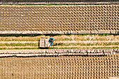 Dhamrai,Bangladesh - 26 March 2019: Aerial view of a few people working in a brick factory,Dhaka province,Bangladesh