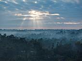Luftaufnahme eines Sonnenaufgangs über einem nebligen Teegarten mit üppigem Grün und ruhigen Bäumen, Sreemangal, Bangladesch