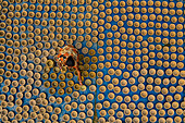 Sahajanpur,Bangladesh - 27 January 2020: Aerial view of a woman patiently hardworking clay pots in Rajshahi state,Bangladesh
