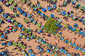 Aerial view of a few people working at Kansat mango Bazar,the largest mango market in the world,Shibganj province,Bangladesh