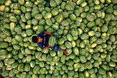 Dhaka,Bangladesh - 27 March 2022: Aerial view of people among the watermelons at work on the Buriganga River