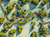 Luftaufnahme von Jubail Mangrove,Abu Dhabi,Vereinigte Arabische Emirate