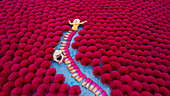 Aerial view of vibrant incense field with workers harvesting,Huyen Ung Hoa,Vietnam