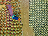 Aerial view of people working in a clay pot factory in Bogura,Bangladesh