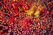Nandgaon,India - 01 March 2023: Aerial view of people celebrating the holy colour festival at Shri And Baba Temple,Uttar Pradesh,India
