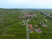 Luftaufnahme einer malerischen Landschaft mit üppigen Weinbergen und ruhigen Dorfhäusern, Kaysersberg, Frankreich