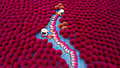 Aerial view of vibrant incense field with workers harvesting,Huyen Ung Hoa,Vietnam