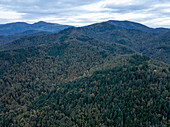 Luftaufnahme einer majestätischen Berglandschaft mit üppigen Wäldern und ruhigen Tälern, Thann, Frankreich