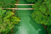 Aerial view of Sipatan Twin Hanging Bridge,Loboc,Philippines