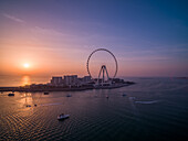Aerial view of Ain Dubai,the world's largest Ferris wheel at sunset with many motorboat sailing the Persian gulf,Dubai,United Arab Emirates