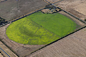 Luftaufnahme von schönem grünen Ackerland mit Mustern und Linien in einer ländlichen Landschaft, Connewarre, Victoria, Australien