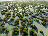 Luftaufnahme von Jubail Mangrove, Abu Dhabi, Vereinigte Arabische Emirate