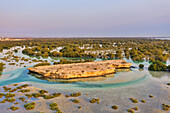 Luftaufnahme von überschwemmter Vegetation im Naturschutzgebiet Abu Al Sayayif, Abu Dhabi, Vereinigte Arabische Emirate