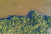 Aerial view of harbour creek in marshland in Ajman state,United Arab Emirates