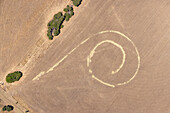Aerial view of abstract spiral pattern in dry agricultural field surrounded by trees,St Leonards,Victoria,Australia