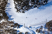 Luftaufnahme des Skigebiets Mount Buller mit Skifahrern auf verschneiten Hängen, umgeben von Bäumen, Victoria, Australien