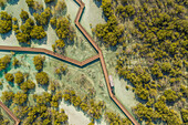 Luftaufnahme des Jubail Mangrove Walking Park in Abu Dhabi, Vereinigte Arabische Emirate