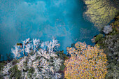 Aerial view of autumn trees reflecting on serene lake,Door De Kraal,Bellville,South Africa