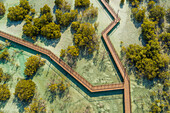 Luftaufnahme des Jubail Mangrove Walking Park in Abu Dhabi, Vereinigte Arabische Emirate